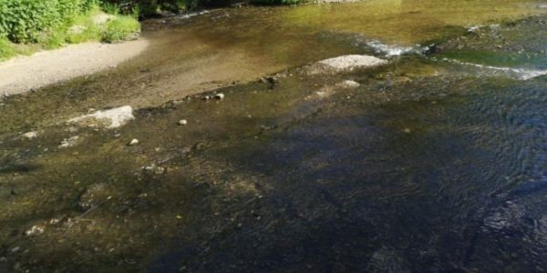 Три розоварни замърсяват водите в Пловдивска област! РИОСВ затвори една от тях