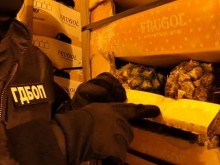 Съдия: 11 кг наркотици не е нещо, което всеки ден се среща