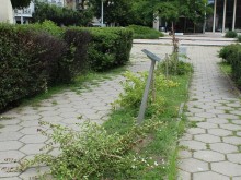 Вандали посегнаха на пловдивската Градина на толерантността