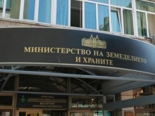 Затварят цяло министерство заради болен от коронавирус министър
