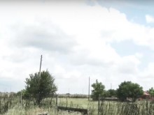 Открити са няколко огнища и на ку-треска в България