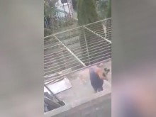 Изверг брутално налага куче в Средец (18+)