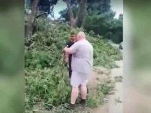 Оперна певица сигнализира за сеч на дървета край къмпинг "Градина"