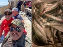 Родопчанин улови само за ден 148 големи скумрии в Северно морe