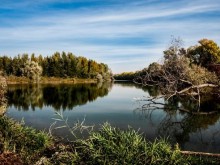 Разложено тяло на удавник изплува на брега на река Поройна
