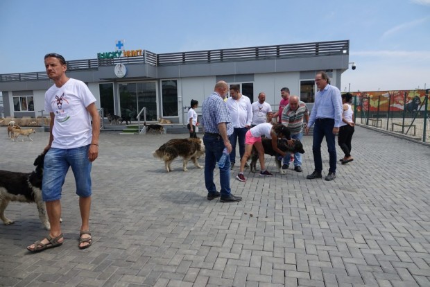 Фондация Лъки Хънт ще поеме грижата за бездомните кучета на