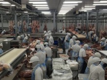 Удължиха карантината в германската кланица- огнище на коронавирус
