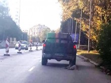 Осъдиха за хулиганство с изключителен цинизъм мъжа, влачил куче, вързано за колата му
