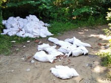 Грозна картинка край Храбрино