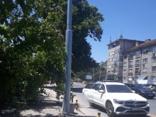 Джунгла се образува на централен булевард в Пловдив
