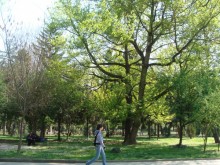 Откриват поредната обновена чешма в Цар Симеоновата градина