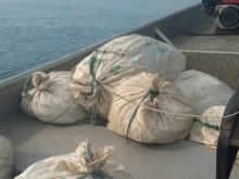 Пуснаха обратно в морето незаконно уловен калкан
