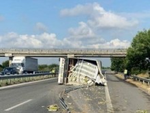 Куче е предизвикало инцидента с обърнатия ТИР на магистралата край Пловдив?