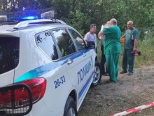 29 крави умряха след водопой от река Марица