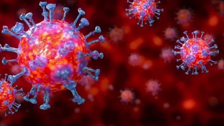 Вирусолозите прогнозираха втора вълна от инфекции с Ковид 19 още преди