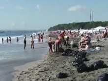 Виновникът за "палмовото" море едва ли ще бъде открит