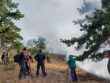 Горят стотици декари гора в Хасковско