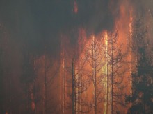 Пожарът край Лесово премина Тунджа, евакуираха цяло село