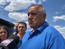 Борисов: Всеки иска оставката на някого, аз искам тази на Радев