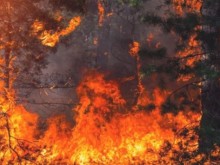12 пожарни и 150 доброволци се бориха с кошмарен пожар