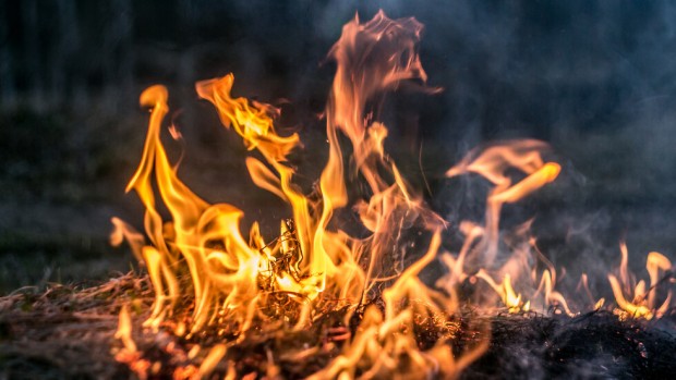 Отново пожар в Хасковско Тази вечер пламна поле и гора
