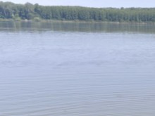 Дете изчезна във водите на Дунав, чули виковете му за помощ
