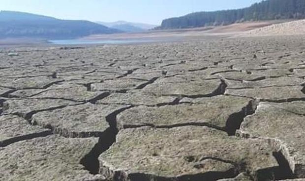 Фейсбук
Опасността от голяма суша в България е все по-близо и