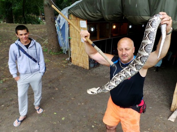 Д-р Еленски: Черна мамба ме ухапа, но оживях!