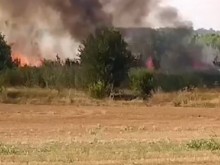 Пожарникари се борят с огнената стихия край Свиленград