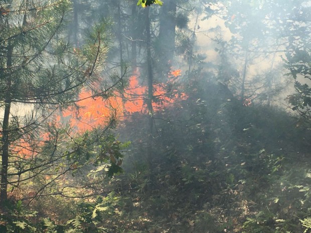 Горски служители на РДГ Бургас и ДГС Айтос гасят пожар