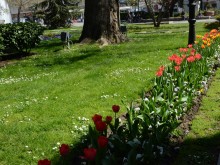 Пръскат срещу комари в Пловдив