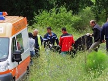 Жители на софийско село се натъкнаха на труп на тийнейджър в горичка