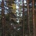 Аватар на потребителя