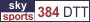 SKY 384 DTT logo