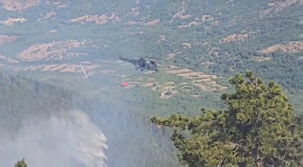 Шест летателни машини от българска и гръцка страна се борят с пожара в планината Славянка