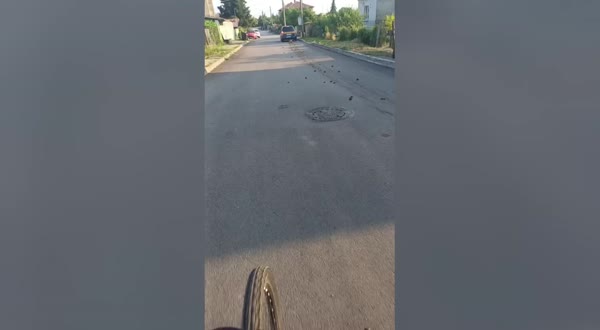 Този човек няма сърце! Влачи куче с колата си! Пред полицаите каза, че си било умряло!