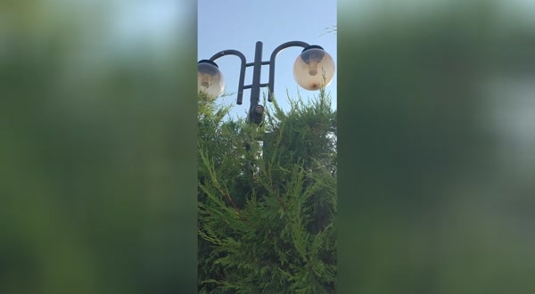 Камери наблюдават съблекалните на популярен плаж до Пловдив?