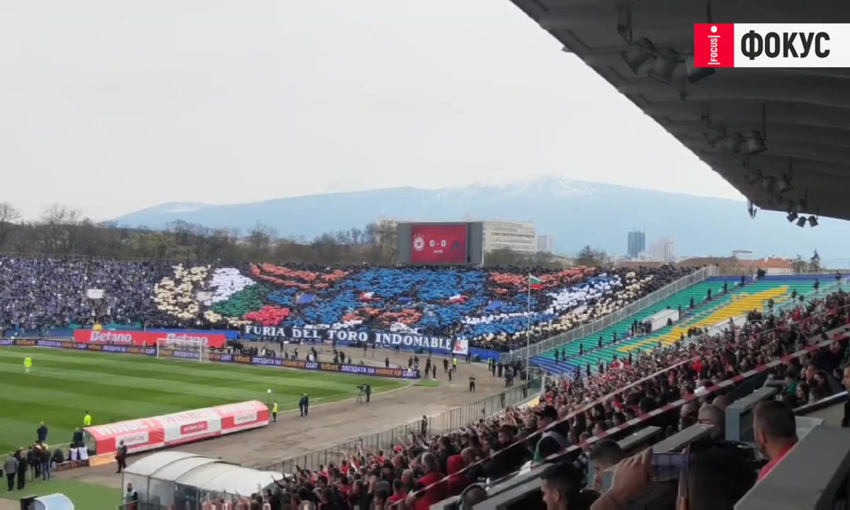 Разярен бик 