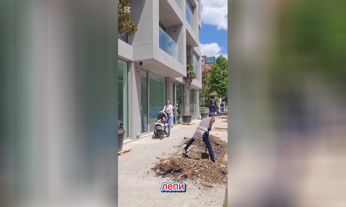 Случаят с отрязаните липи в центъра на Варна стигна до прокуратурата