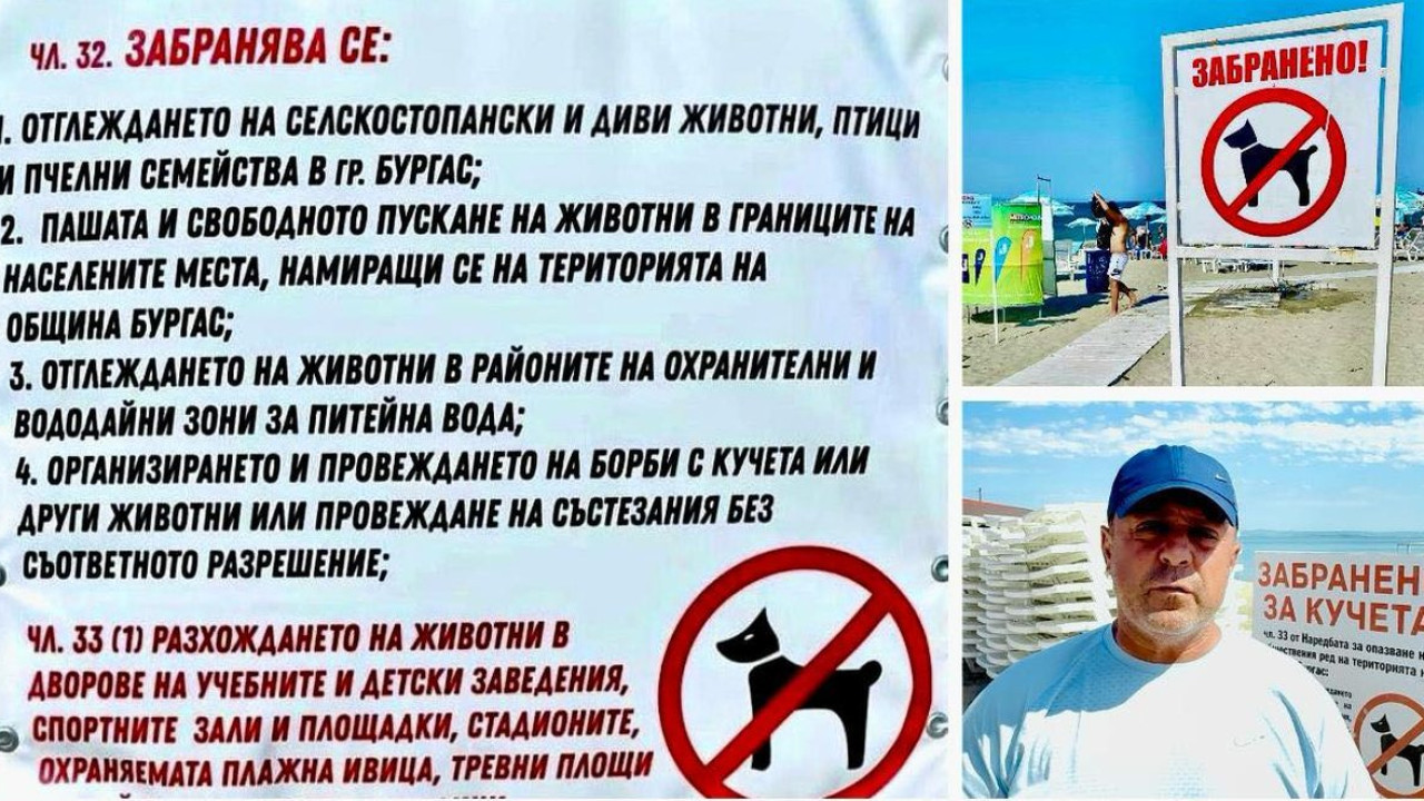 Концесионерът на плаж Крайморие за забраната за кучета