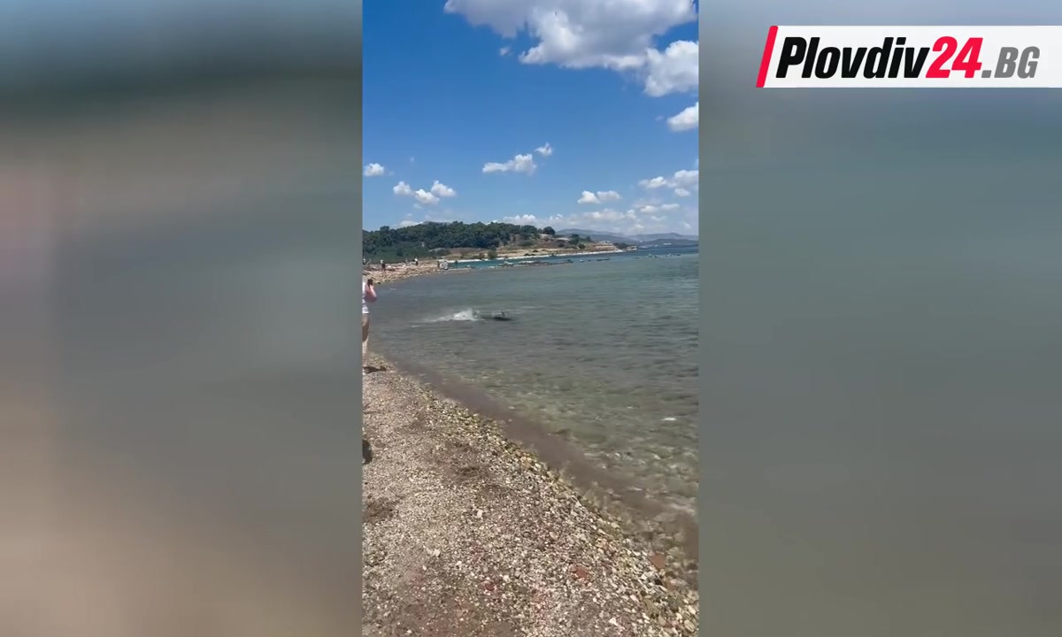 Нашествие на акули по гръцките брегове