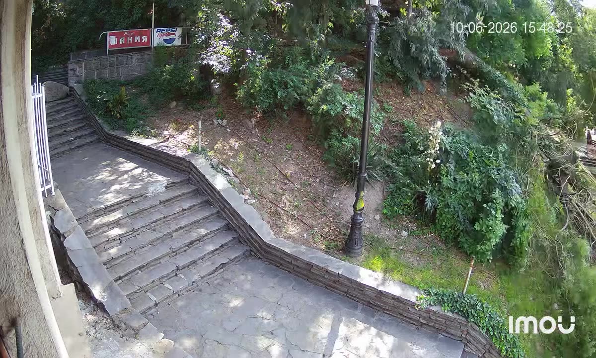 Огромно дърво се стовари в подножието на Небет тепе