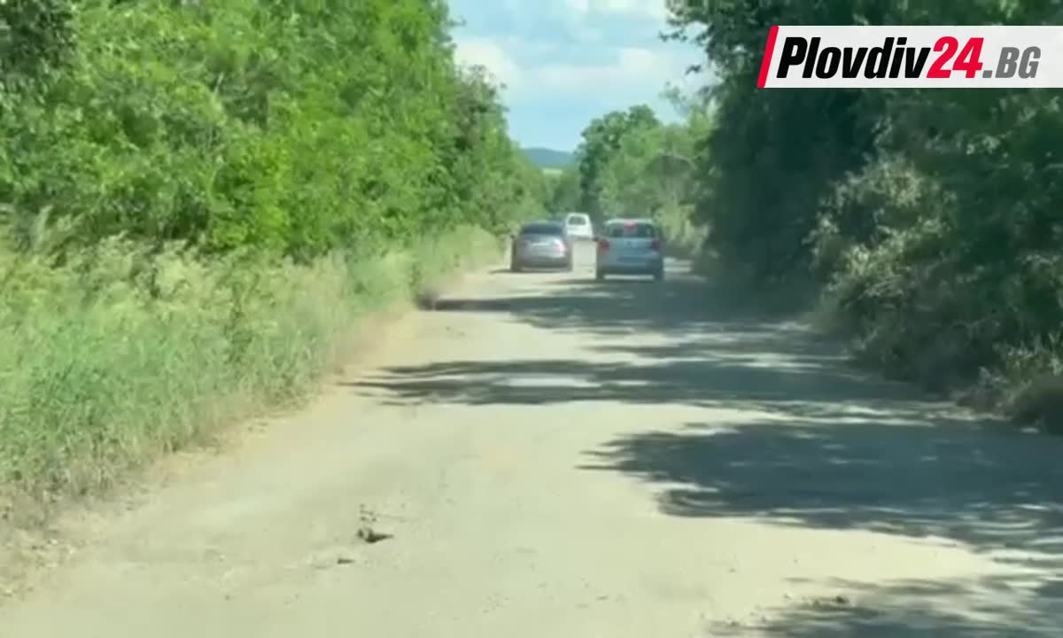 Шофьори заобикалят тапата на "Тракия" през обходния "път"