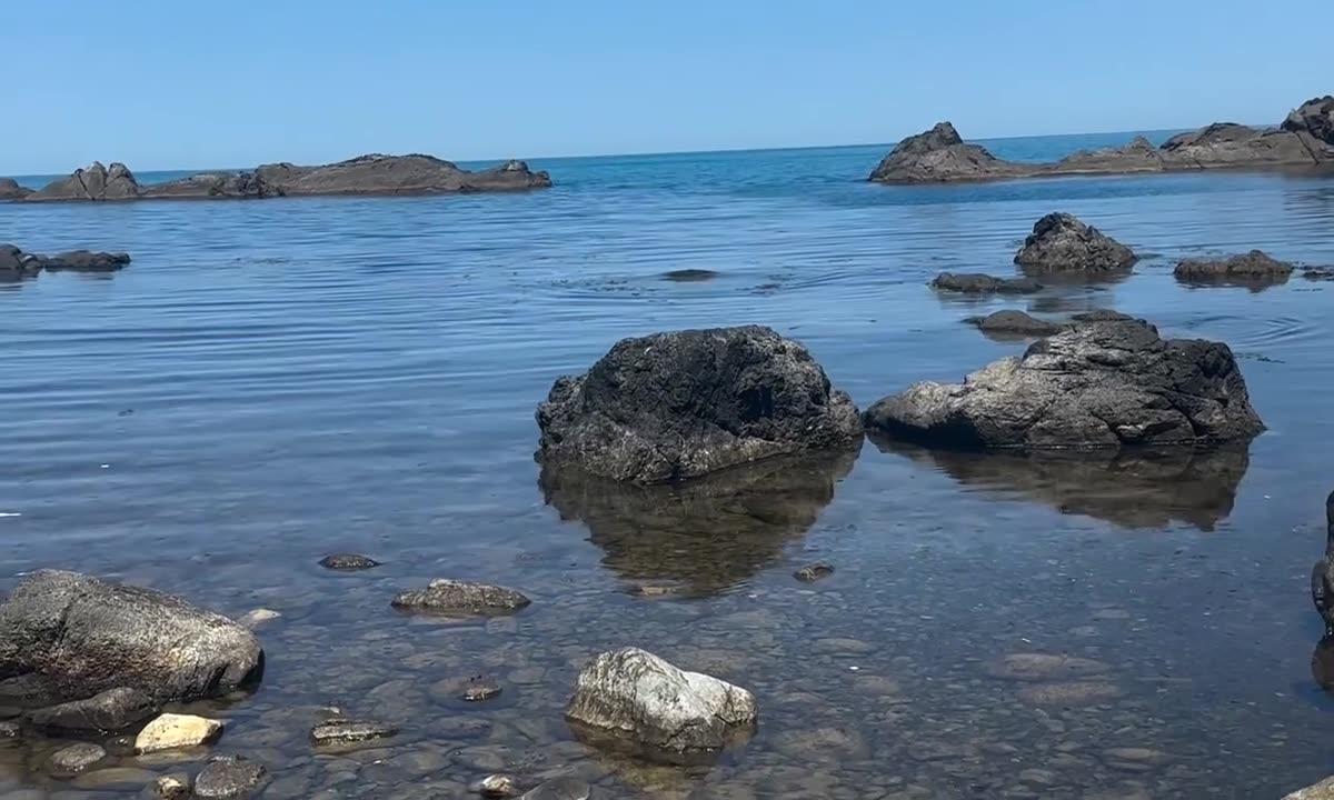 Журналистка показа мазута в морето ни и отсече: Невиждано екологично бедствие