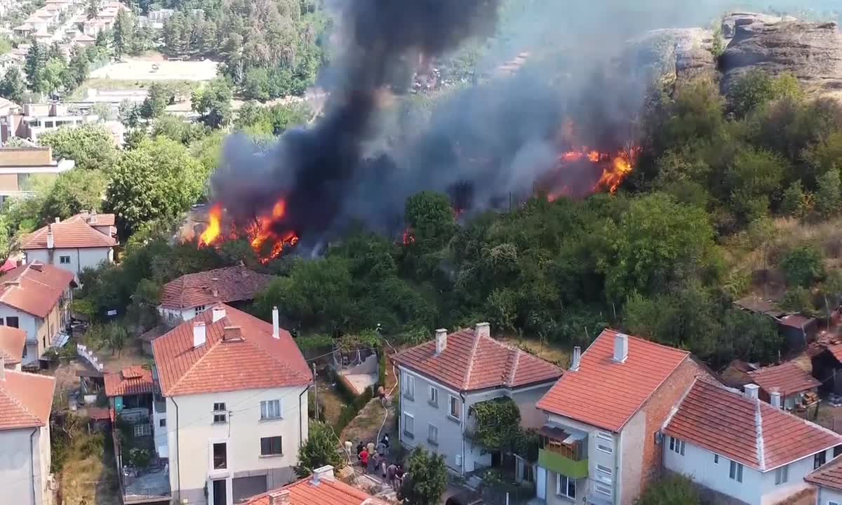 Пламъци унищожиха постройки и животни в Белоградчик