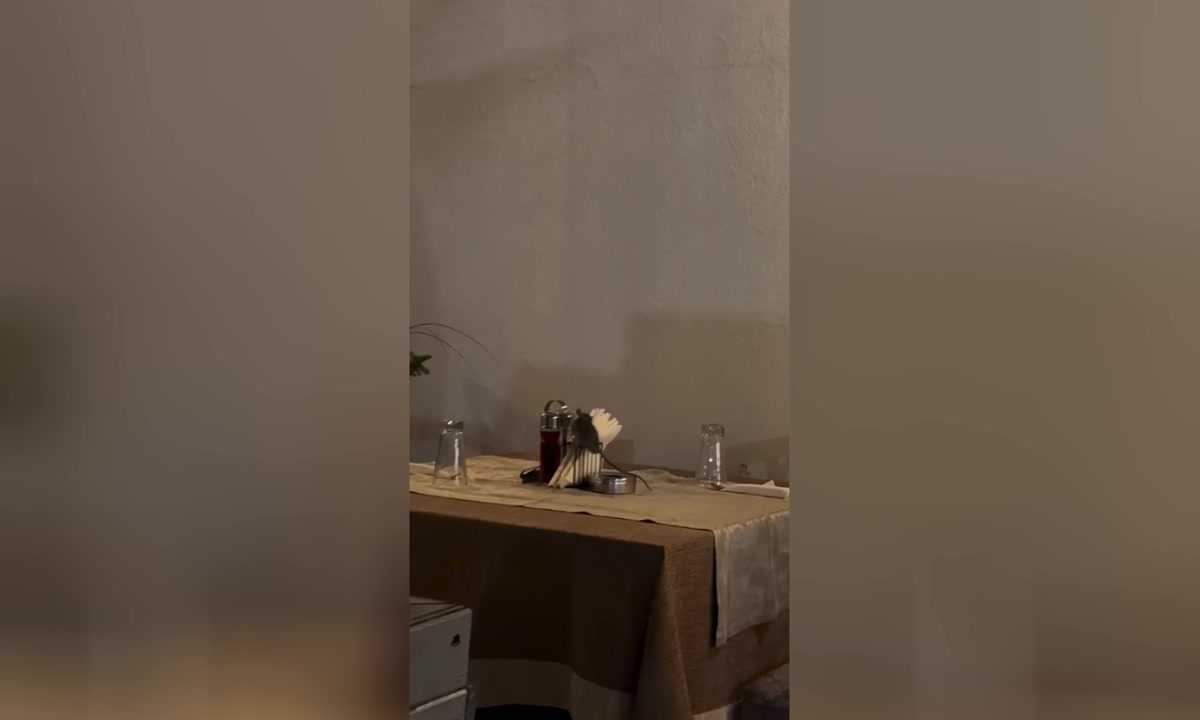 ����� �� ������� ����� ���� �� ���������, ������������ ������ ������