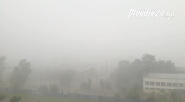 Порой удави Пловдив
