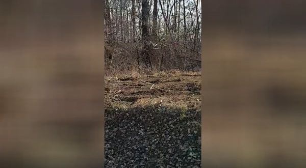 Напрежение край Гребната база в Пловдив